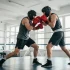 Casco de boxeo y protección facial para sparring y combate